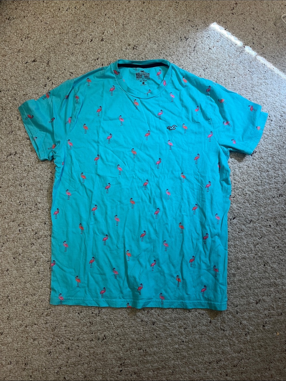 Boys Hollister t shirt